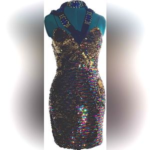 Sequin BodyCon Stretch Dress - New